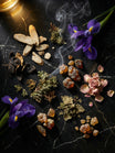 Chypre Iris Regale 2