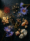StarDust 2