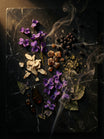 Violét Animale 2