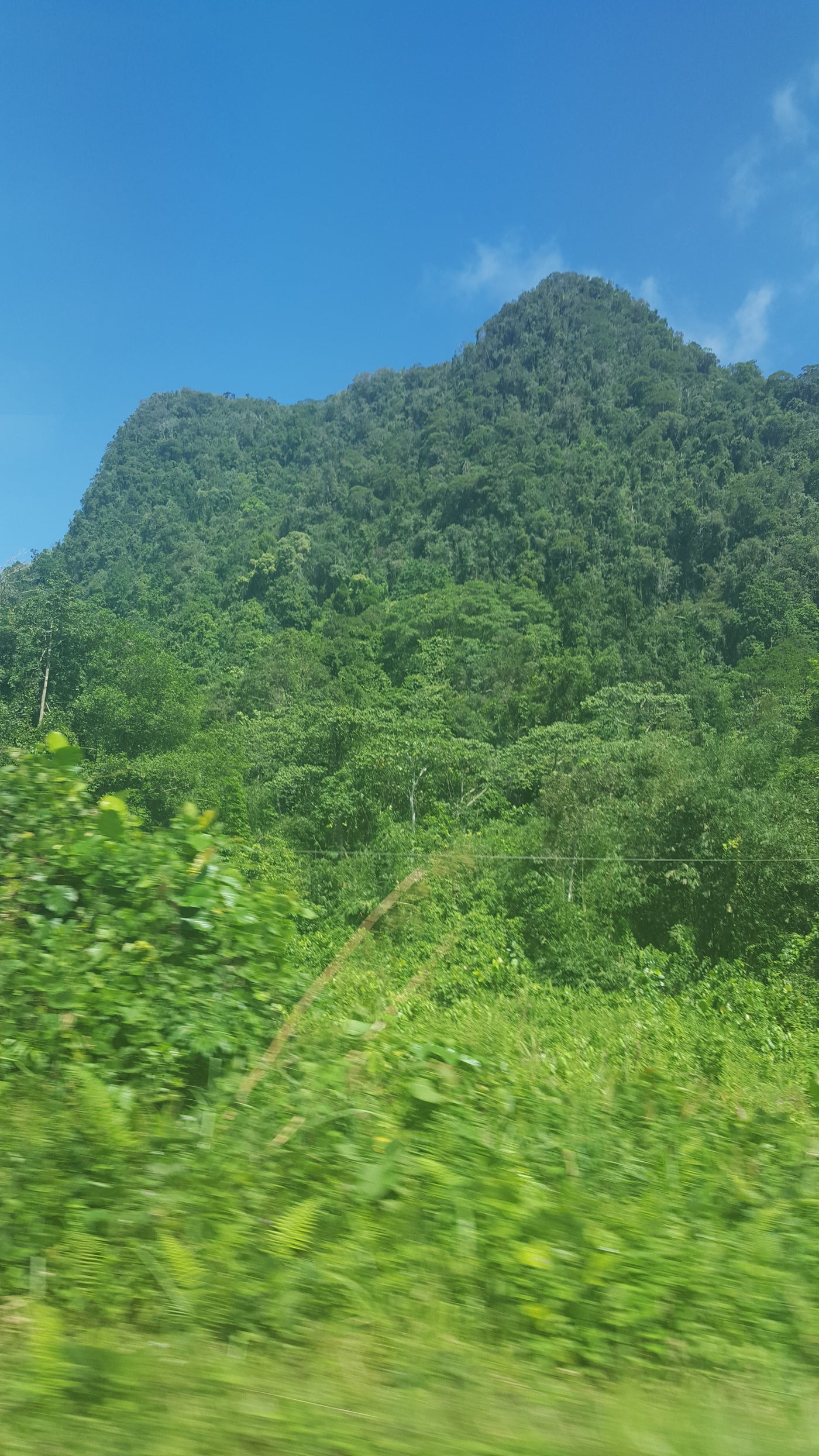 Kalimantan Borneo interior