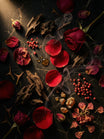 Agar Rose 2