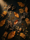 Autumn in Guangxi Attar 2