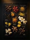 Oud Florale attar 2