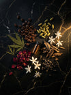 Rozã Arabica 2
